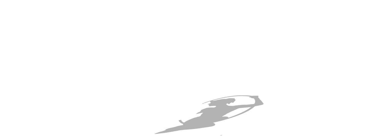 artiste cirque accueil