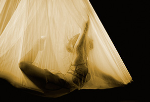 trapeze voile